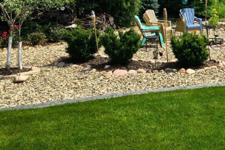 How to Keep Birds Away from Patios, Decks, and Balconies Bird Feeder Hub