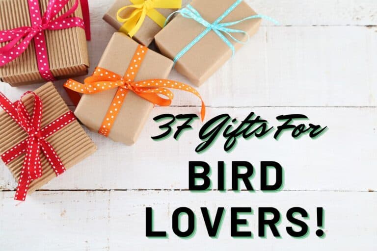 37 Gifts For Bird Lovers That They'll Love Bird Feeder Hub