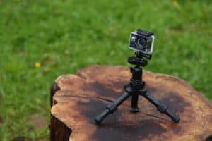 Best Bird Feeder Cameras (6 Great Options)