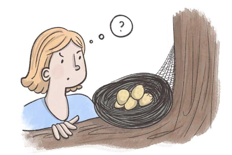 Why Birds Abandon Their Nests With Eggs 4 Common Reasons Bird